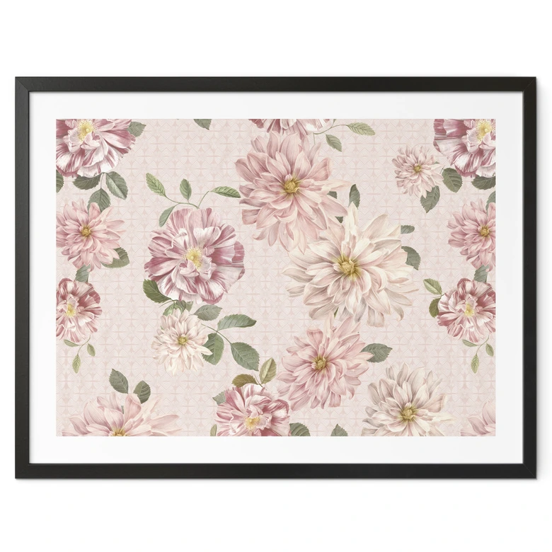 Poster med blommor - Dahlior Shabby Chic Rosa - Bloomery Decor 