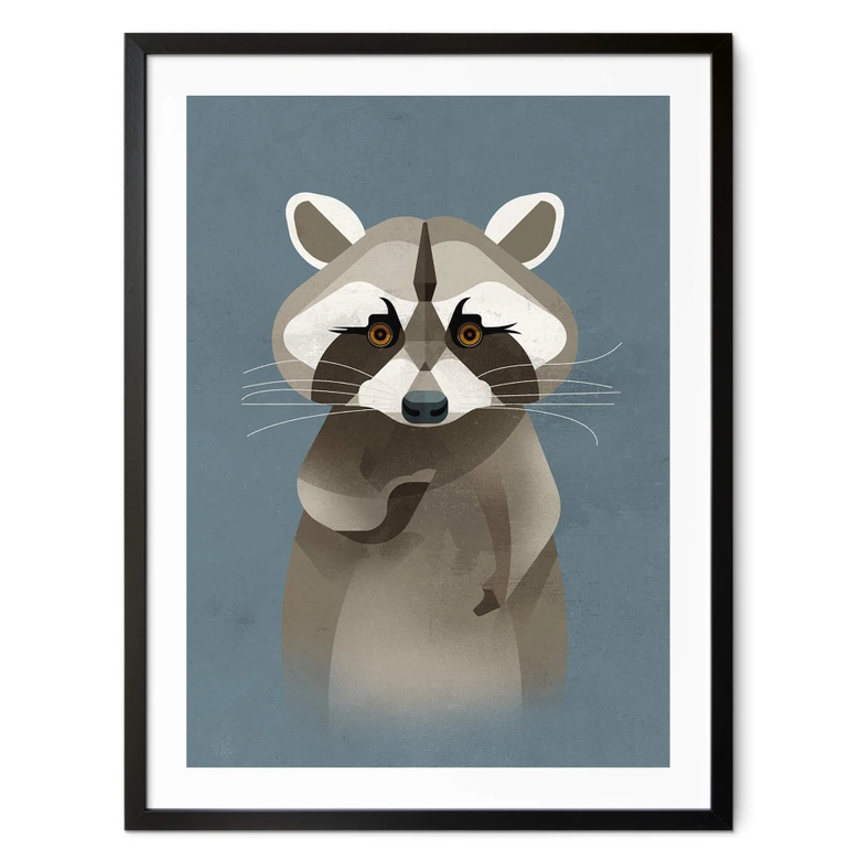 Poster Waschbär - Braun 