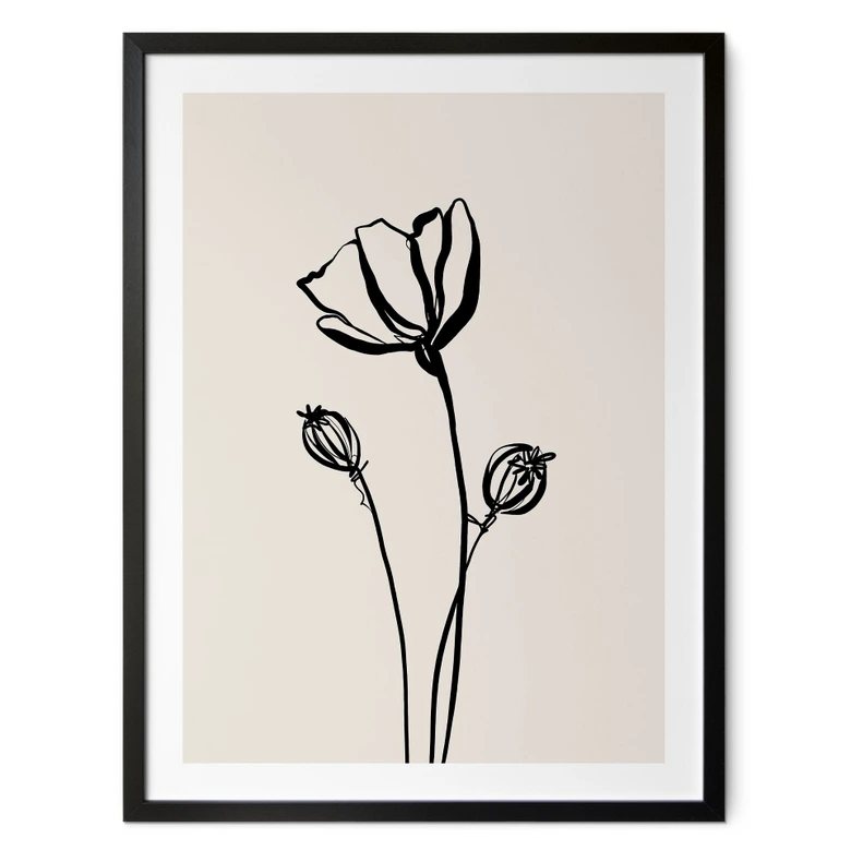 Poster Line Art Mohnblume - Cats & Dotz 