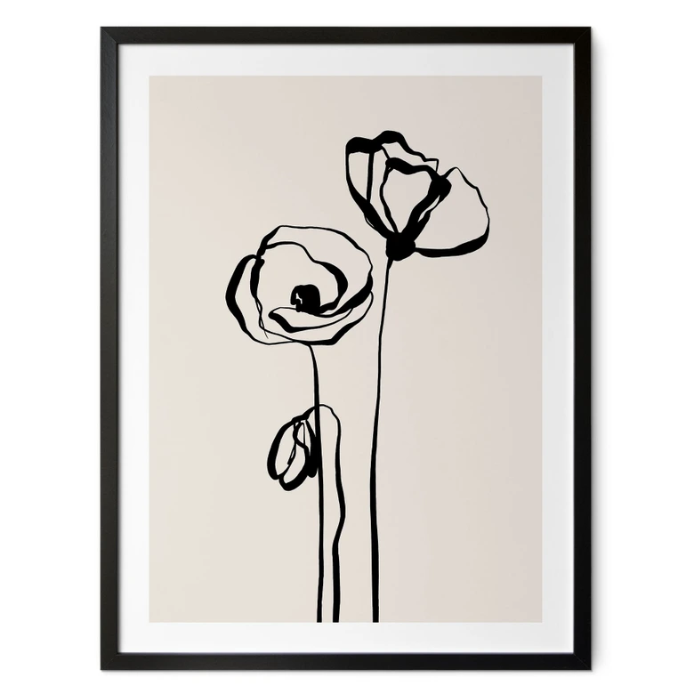 Poster Line Art Zwei Mohnblumen - Cats & Dotz 