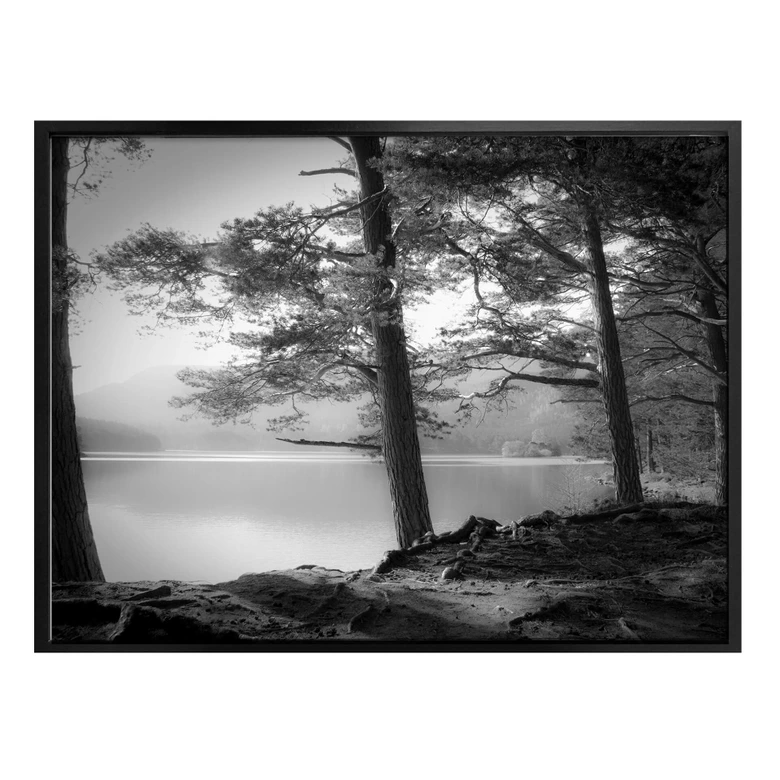 Póster Fuhg - Vista del lago 