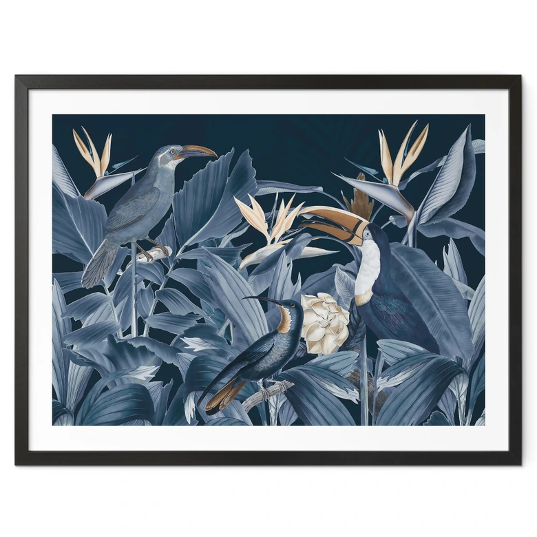 Poster Tropische Vögel im nächtlichen Wald - Haase 