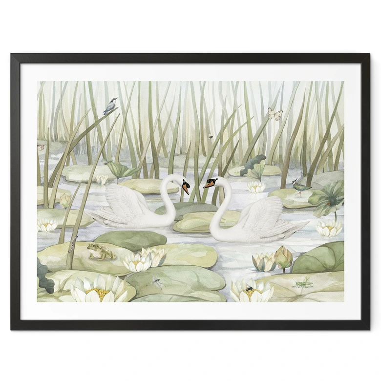 Poster Zwei Schwäne im Teich - Kikki Belle 