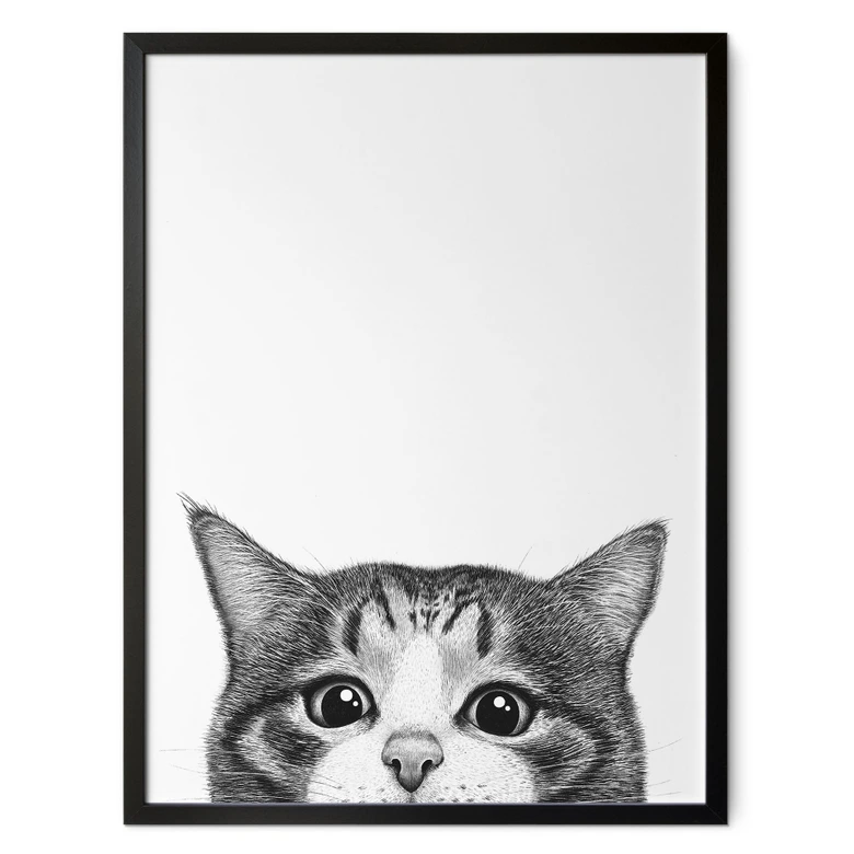 Poster Nieuwsgierige kat - Korenkova 