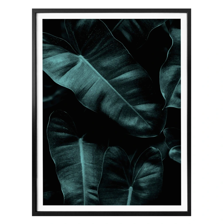 Poster Kubistika - Jungle 