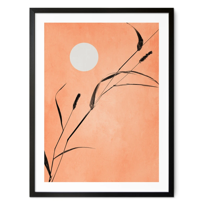 Plakat Siv i ferskenfarvet solskin - Kubistika 