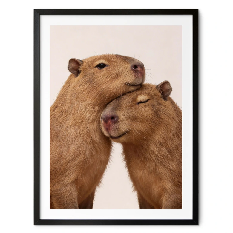 Poster Couple de capybaras en train de se câliner 
