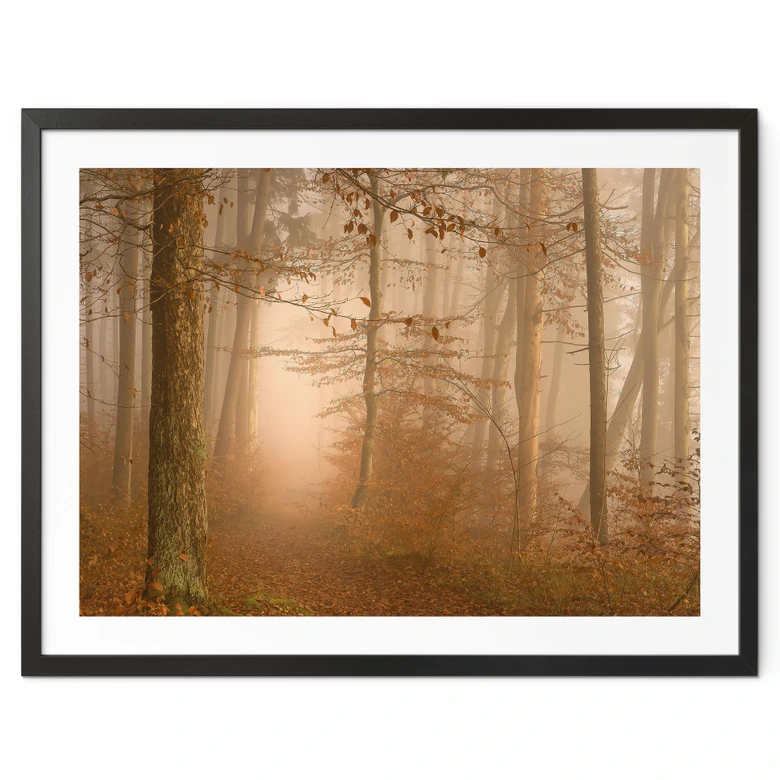 Poster Dunst und Licht im herbstlichen Wald - Maier 