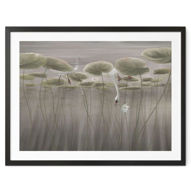 Poster Lotusblumen mit Schwan im Wasser in Grau - Ms Tiff 