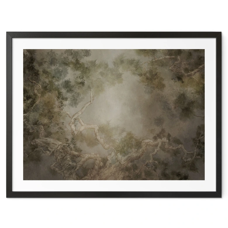 Poster Wald mit Blick in die Baumwipfel - Ms Tiff 