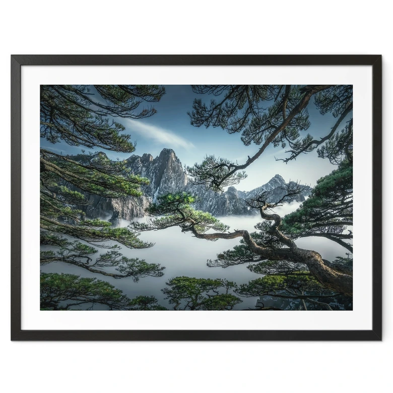 Poster Kiefernwald im Huang Shan Gebirge - NingYun Ye 