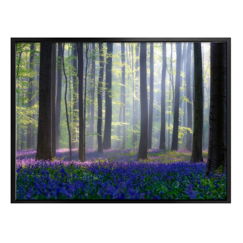 Poster Popan - Hyacinthen 