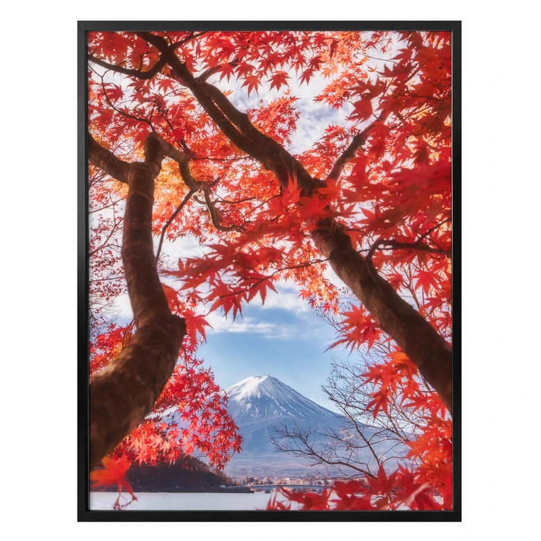 Póster Samejima - Hojas rojas 