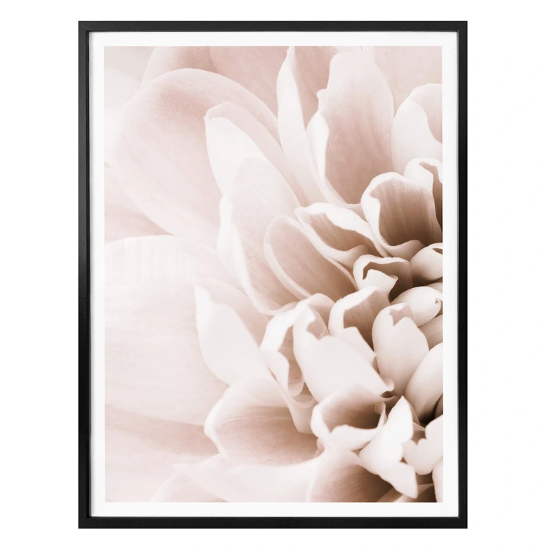 Plakat - 1X Studio - Flowers 
