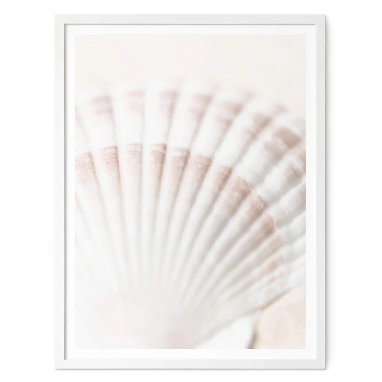 Poster 1X Studio - Jakobsmuschel 