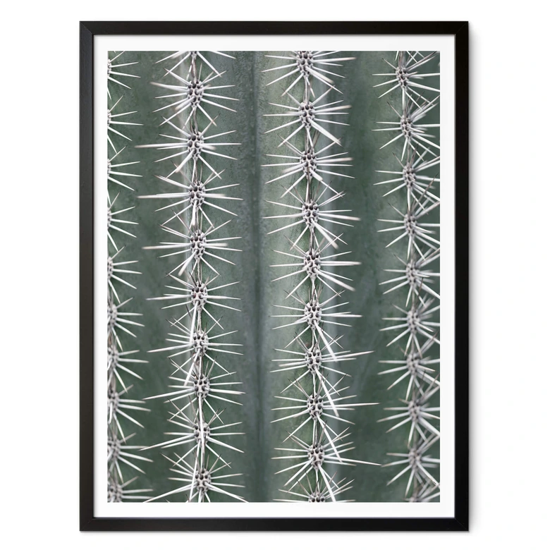Poster 1X Studio - Kaktus 