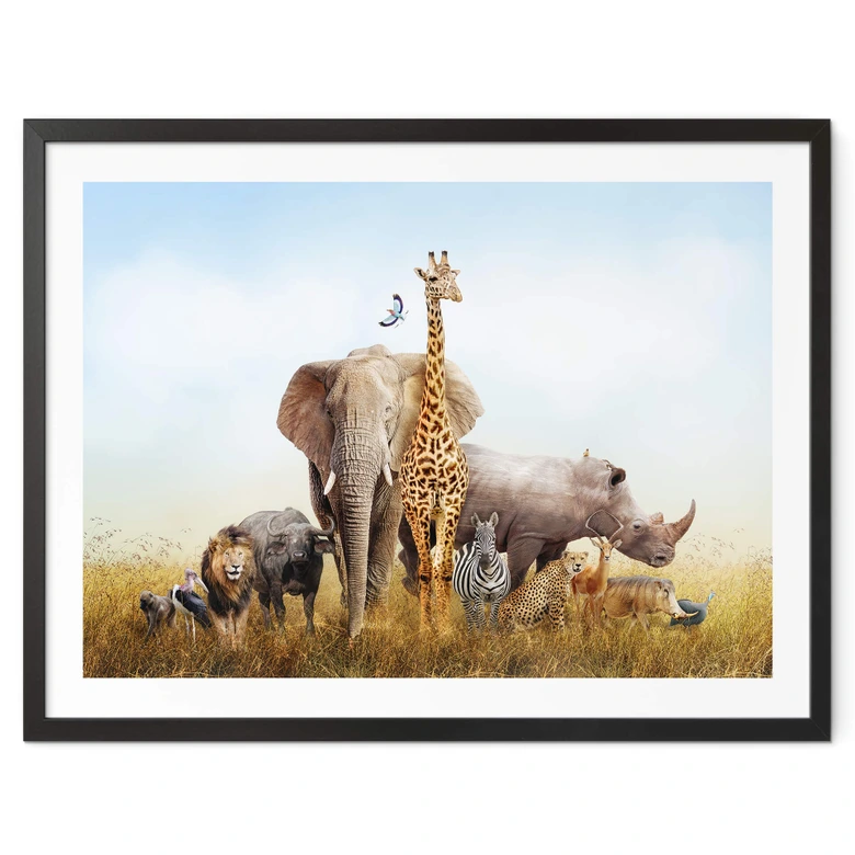 Poster Animaux africains 