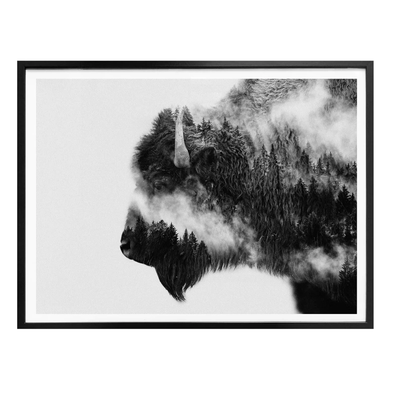 Poster Angyalosi - Bison 