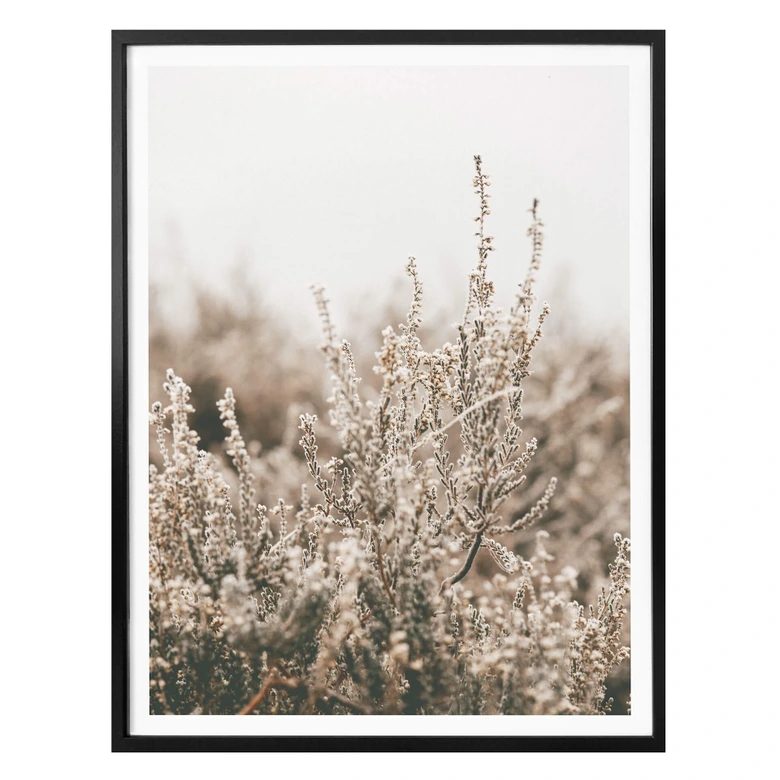 Plakat - Annie - Grass 