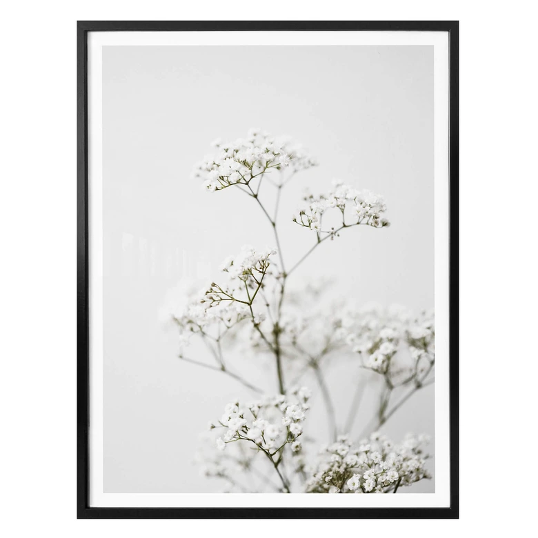 Plakat Annie - trybula łąkowa 