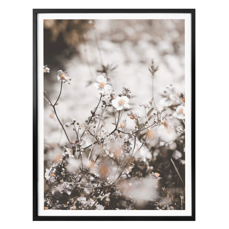 Poster Annie - Wildblumen 