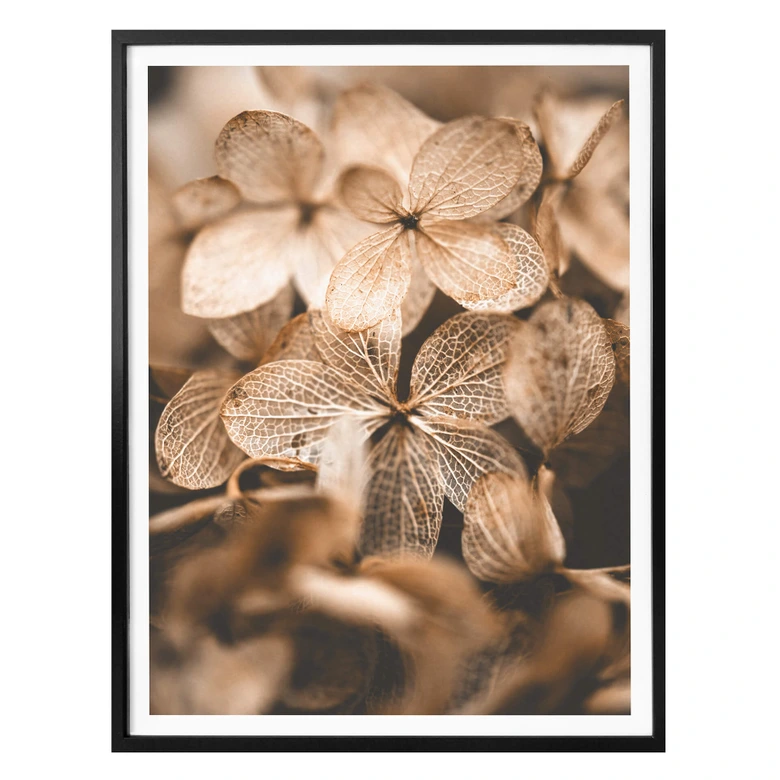 Plakat - Annie - Delicate Flowers 