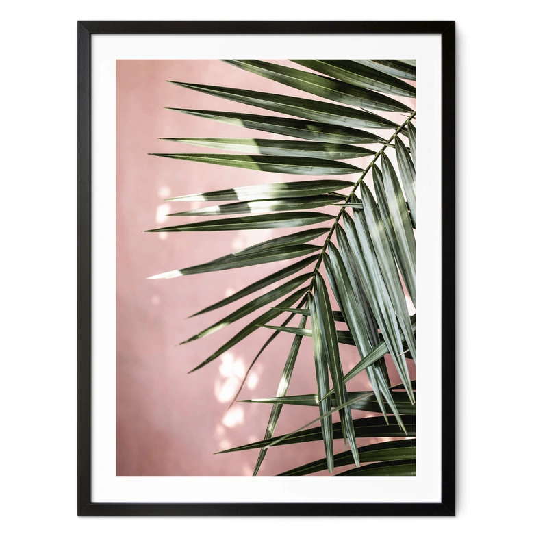 Poster Palmenblatt vor rosa Wand - Böhmer 