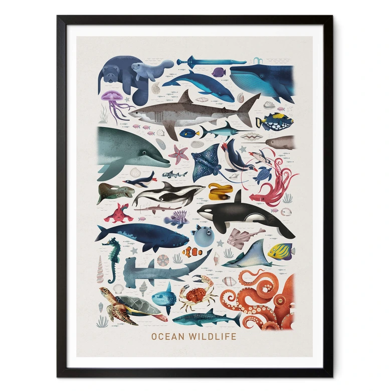 Poster Braun - Ocean Wildlife 