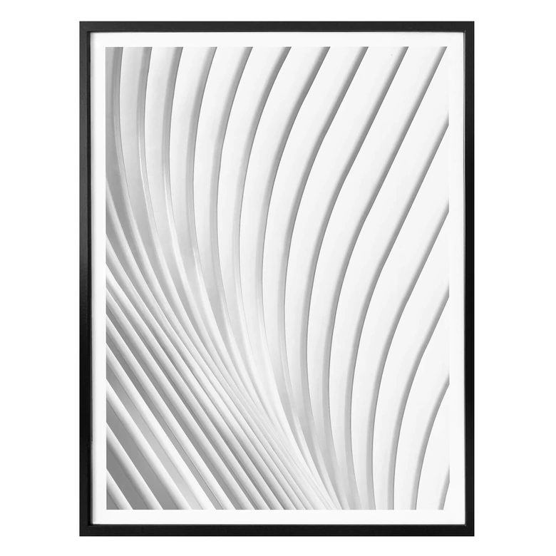 Poster Budny - Harmonische Linien 