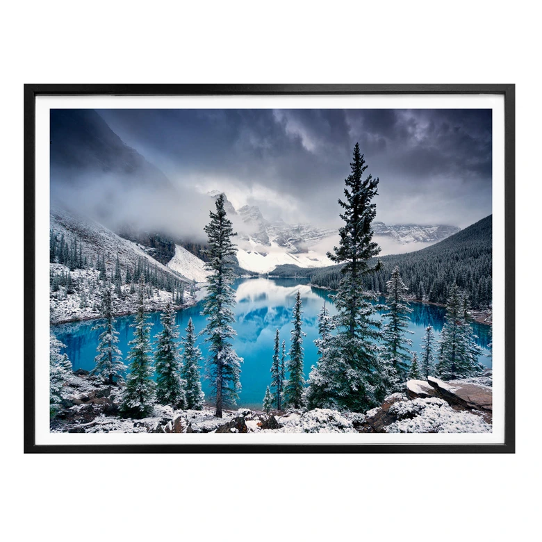 Poster Cole - Blue Morning 