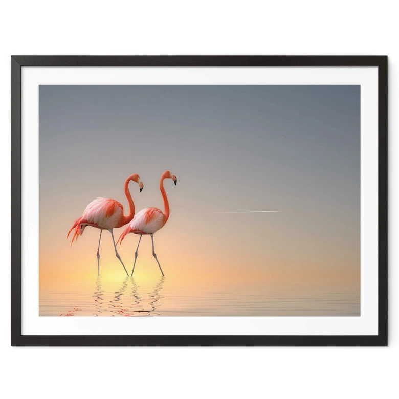 Poster Cseresnjes - Flamingos im Abendlicht 