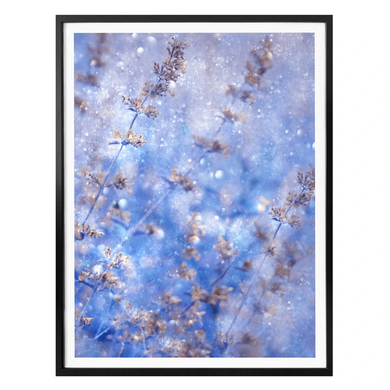 Poster Devos - Früher Winter 