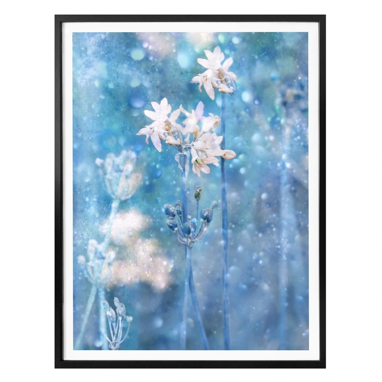 Poster Devos - Magie der Natur 