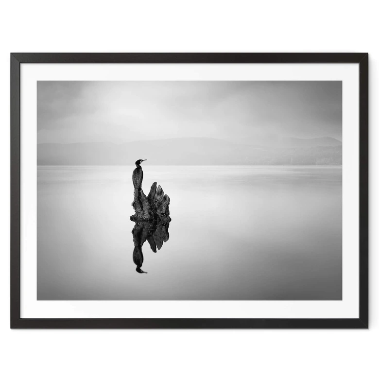 Poster Digalakis - Eleganter Wasservogel 
