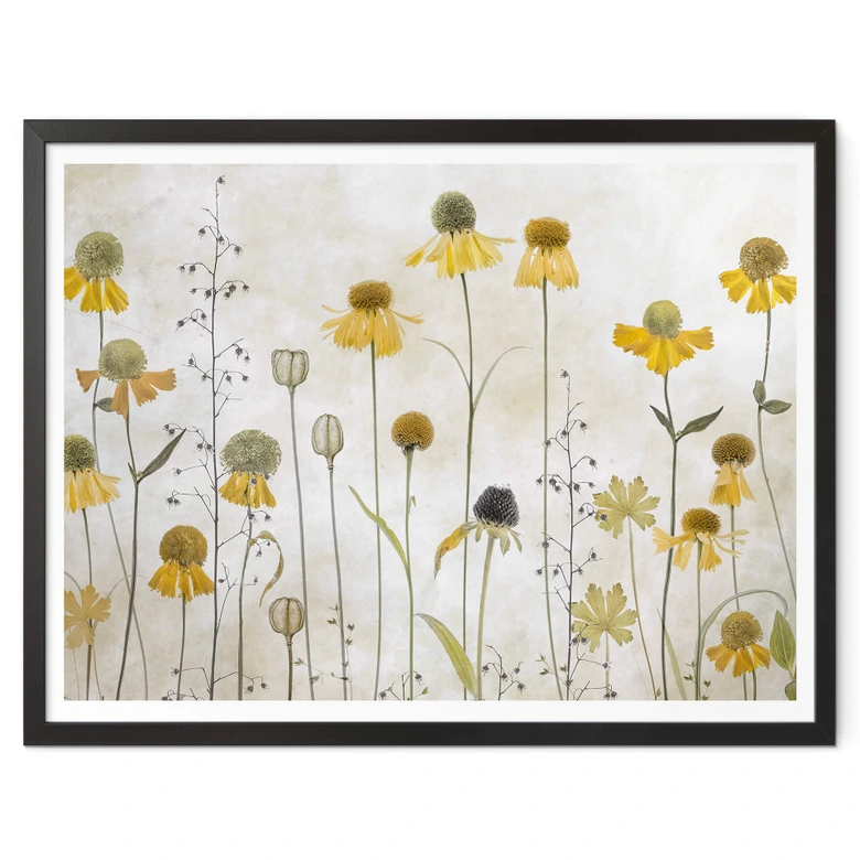 Plakat Disher - Słonecznik 