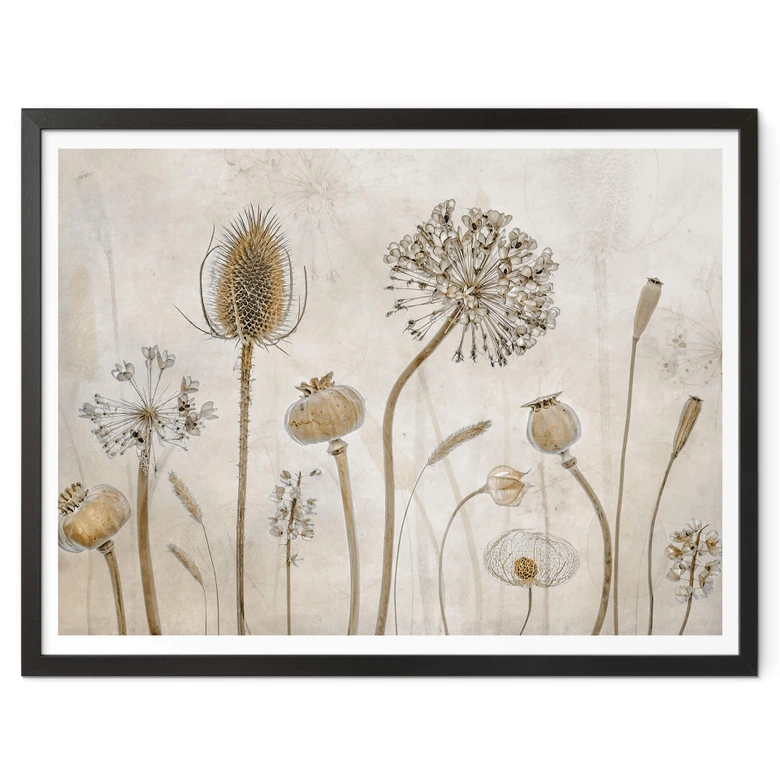 Poster Disher - Trockenblumen 