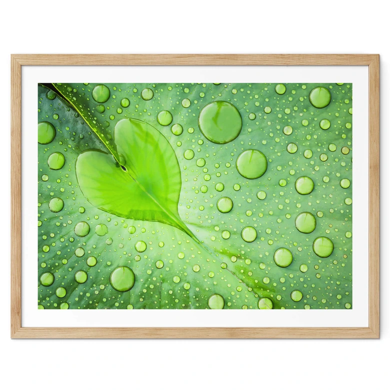 Poster Hart van Regen 
