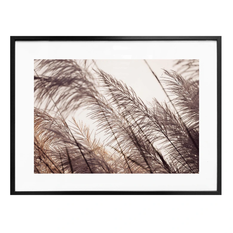 Poster Herbes en pastel 