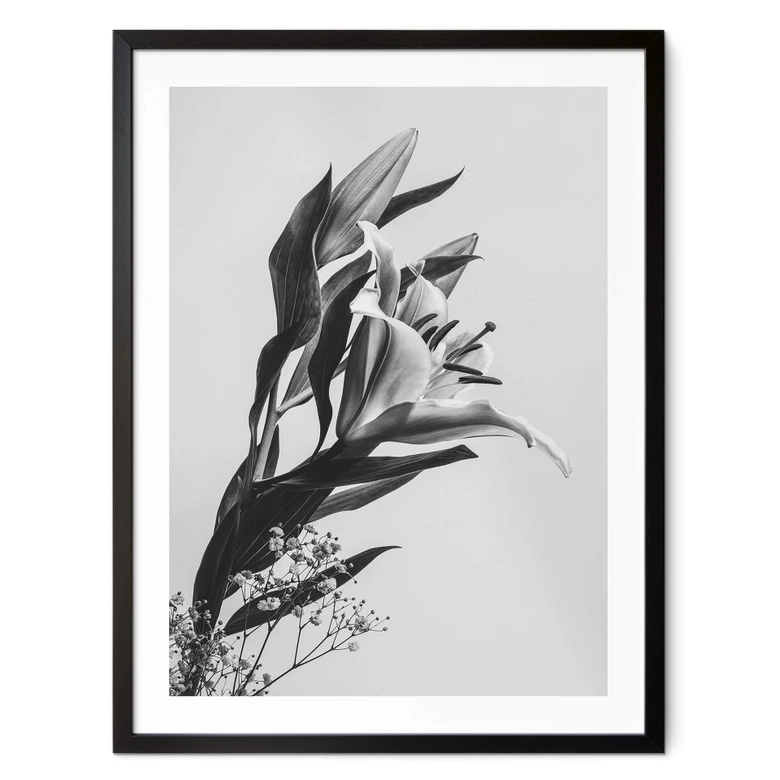 Poster Jo - Zauberhafter Lilie schwarz-weiß 