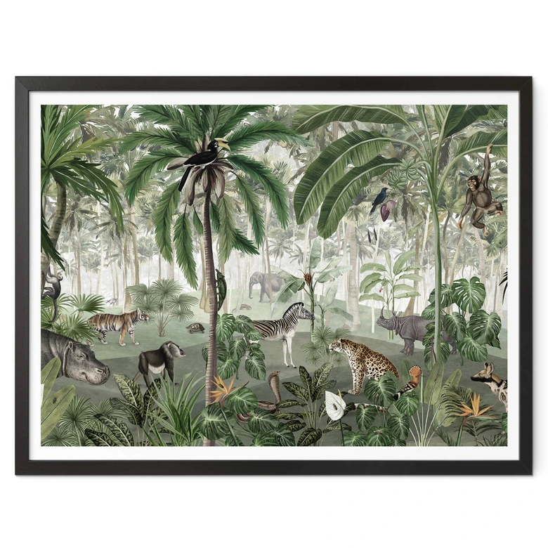 Plakat Kikki Belle - Obraz do wyszukiwania w dżungli 