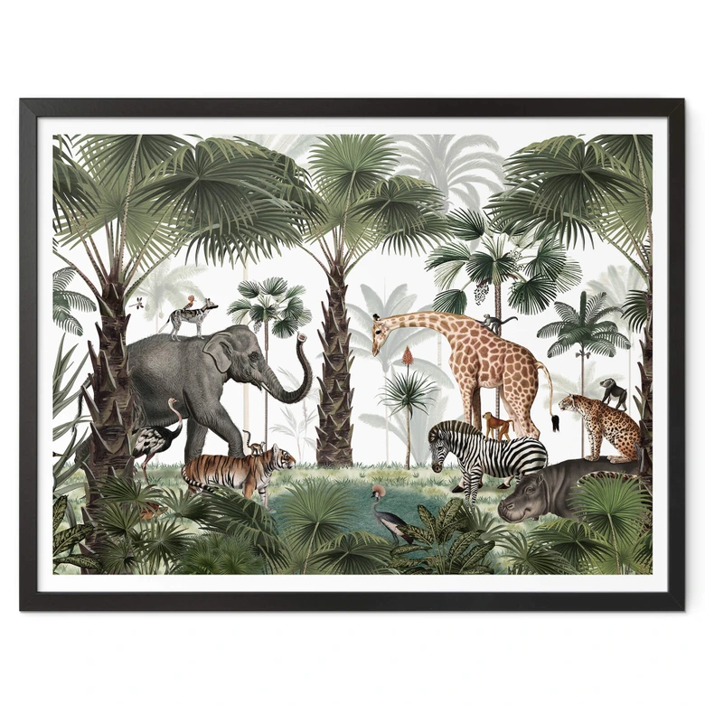 Poster Kikki Belle - Animal Kingdom 