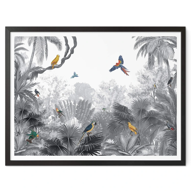 Poster Kikki Belle - Tropische Vogels in het zwart wit 