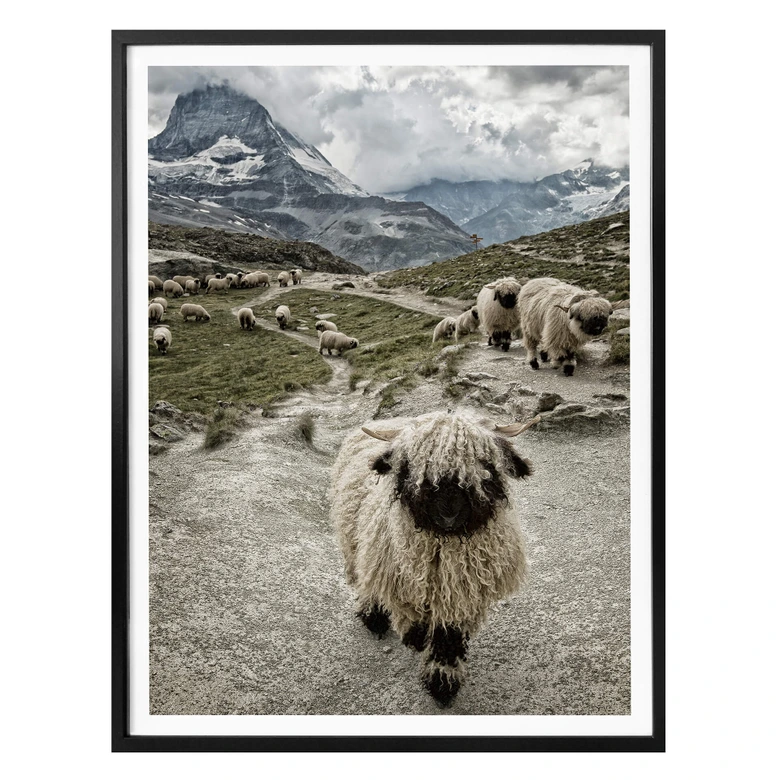 Poster Landolt - Ausflug in die Berge 