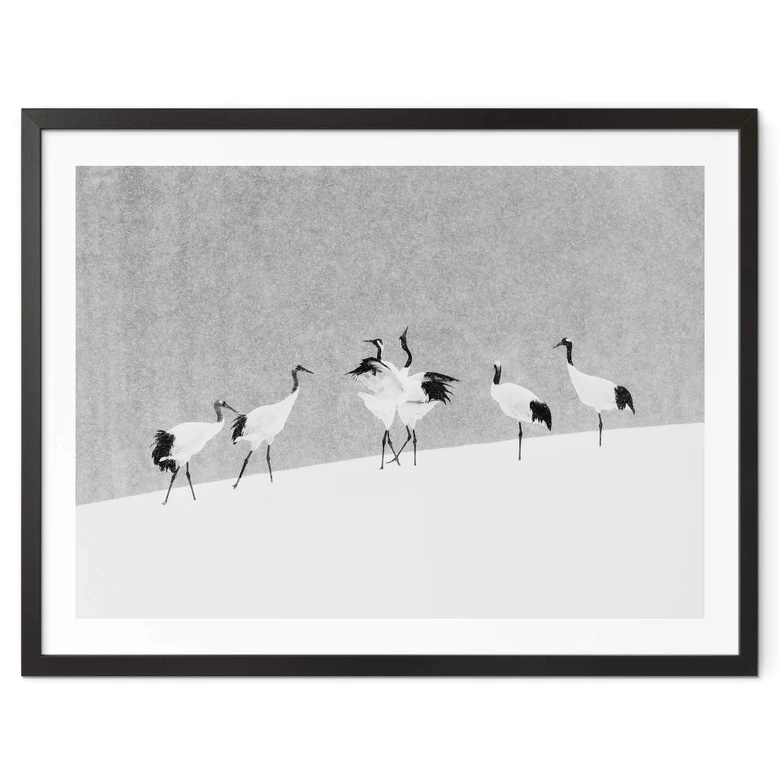 Plakat Marchegiani - Żurawie w zaśnieżonym krajobrazie 