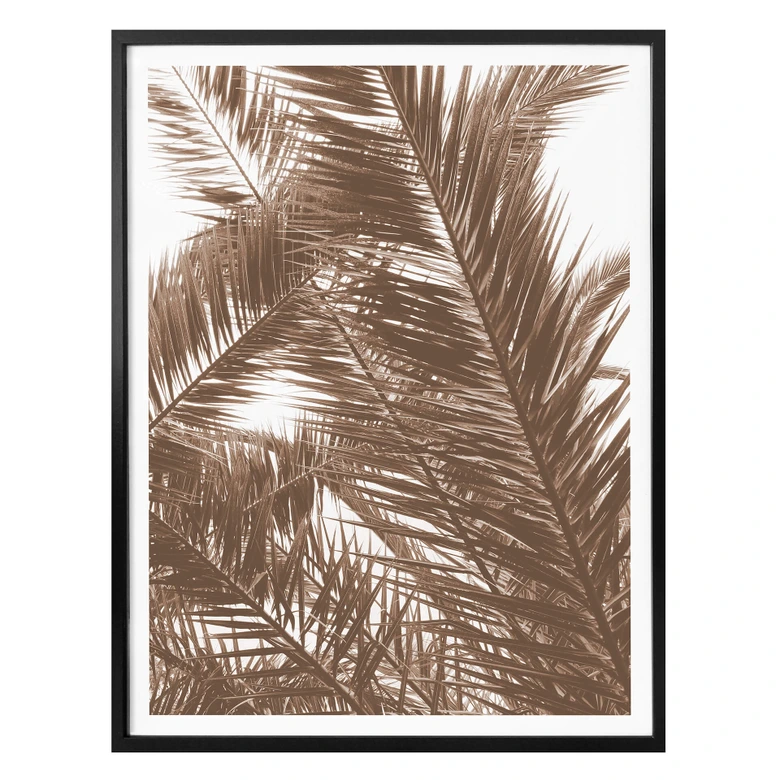 Poster Palmwedel 