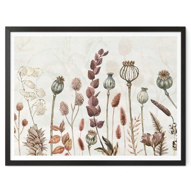 Poster Sir Edward - Trockenblumen Weiss 