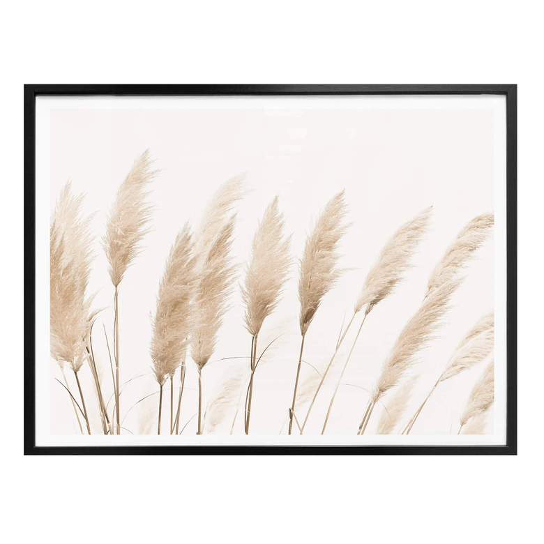 Poster Sisi & Seb - Pampas 