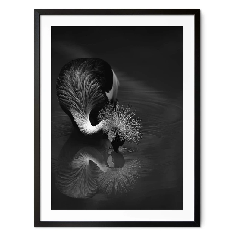 Poster Tjandra - Fågelreflexion - svartvitt 