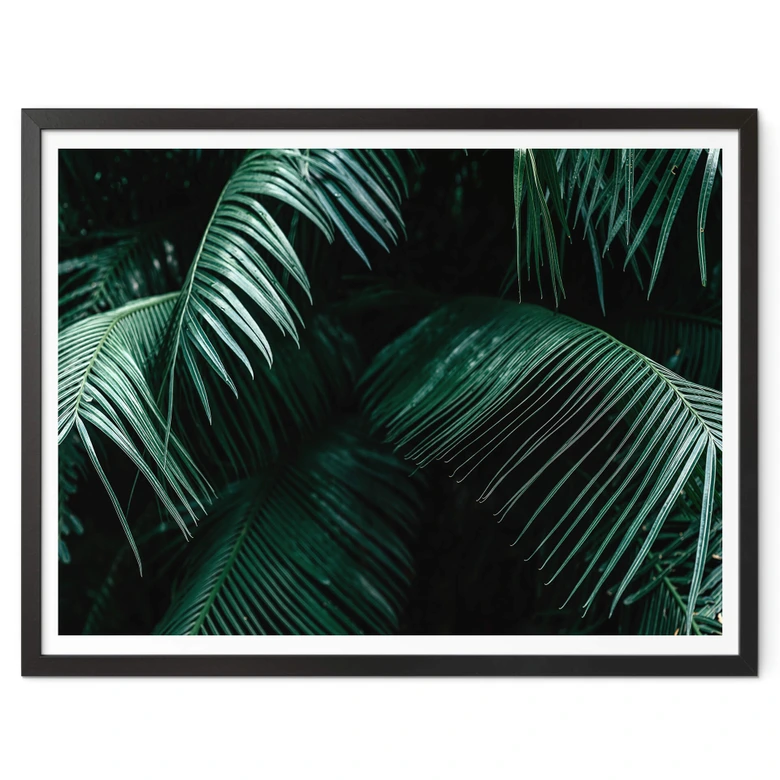 Poster Botanique tropicale 
