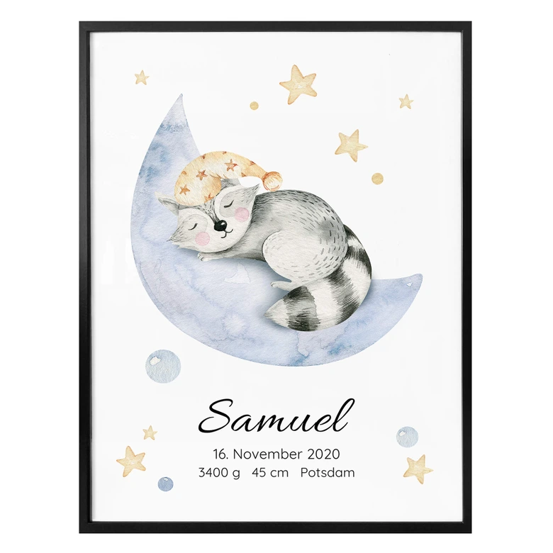 Personalisiertes Poster Kvilis - Waschbär 